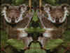 kh01d.jpg (158545 Ӧ줸)