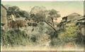 nagas05.jpg 13.9k
