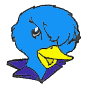 Iiwi Redbird
