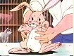 The rabbit