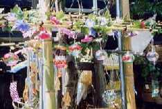 Photo of windchimes