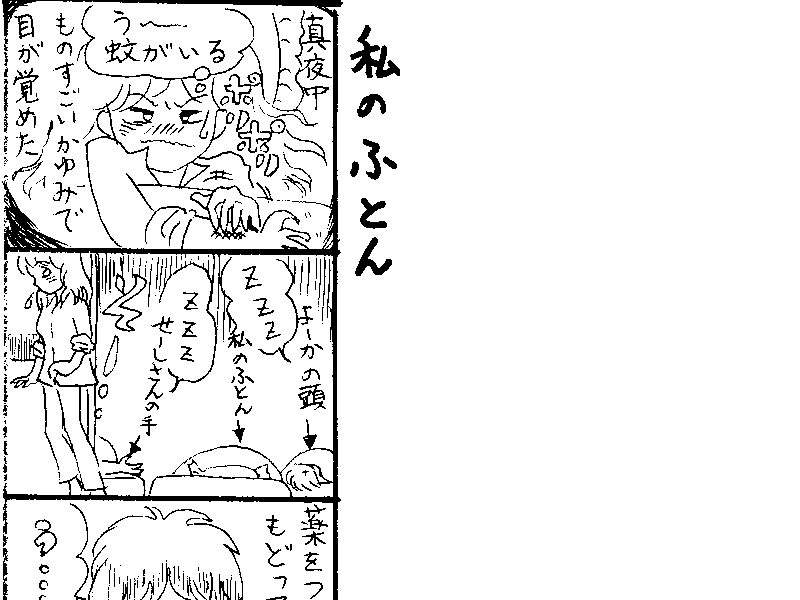 Ikuji Nikki No.4A