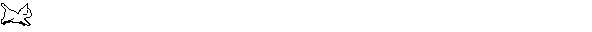 Animated Cat