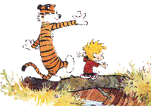 Log Walk