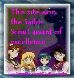 Sailor Scouts Award of Excellence