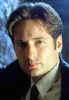 mulder.jpg (4560 bytes)