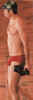 speedo.jpg (14767 bytes)