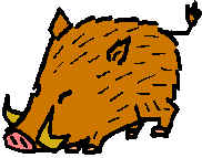 Ernest - the Razorback!