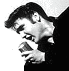 elvis1.gif (4433 bytes)