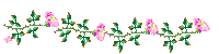 flowerpink.gif (2075 bytes)