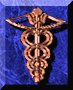 medstaff.gif (5037 bytes)