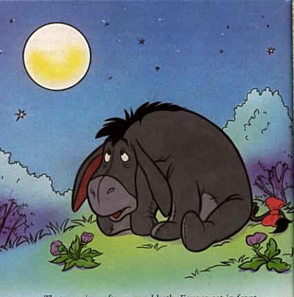 /user/eeyore_night.jpg