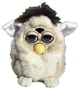 /user/fbear.gif