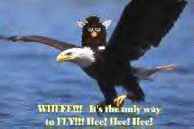 /user/feagle.gif