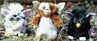 /user/fgizmo.gif