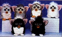 /user/furby1.gif