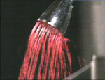 a2919.gif