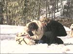 p852.gif