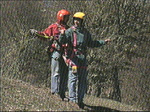 p8611.gif