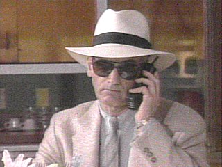 Vell, do you like zee disguise, ja?