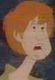 Shaggy from Scooby-doo