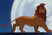 Hakuna Matata!