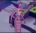 Spydra