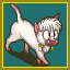 [Shampoo (cat)]