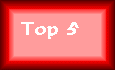 Top 5