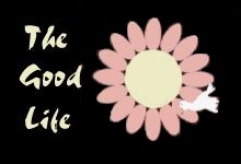 Click here to get the  Good Life theme.