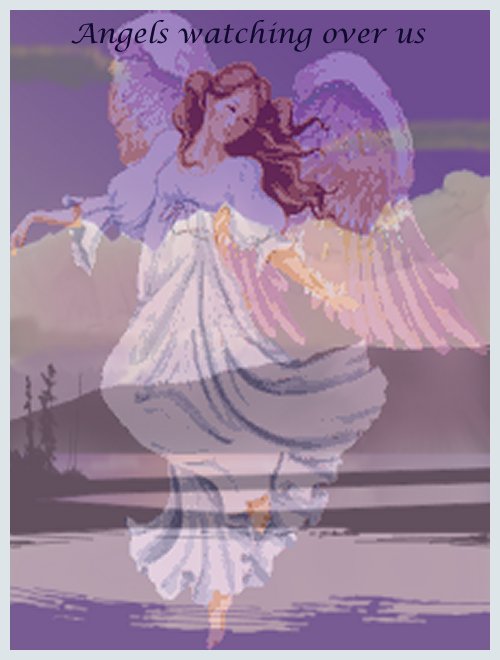 thumbnail of your picture #8