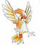 Pidgeotto