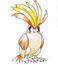Pidgeot