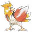 Spearow