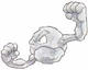 Geodude