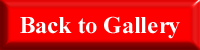 Go back to the Gallery Index