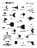 Ship Recognition