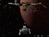 K'Vort vs Runabout