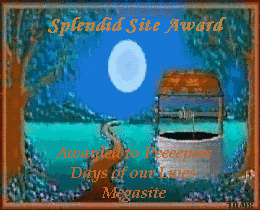 Splendid Site Award