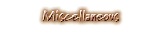 miscmain.gif (17243 bytes)