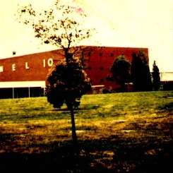photo of Channel Ten Studios
