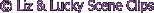 Copyright