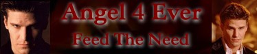 Angel 4 Ever