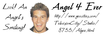 Angel 4 Ever