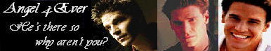 Angel 4 Ever