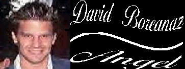 David Boreanaz Bio