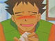 brock2.jpg (1997 octets)