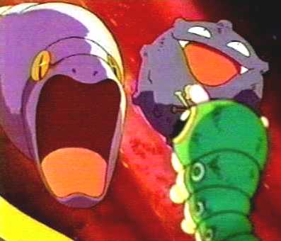 caterpie2.jpg (14564 octets)