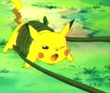 pikachu.jpg (12543 octets)
