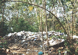 Rubbish pile